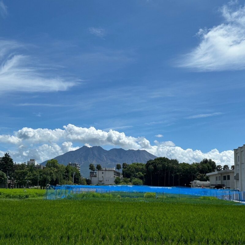 夏の恒例行事・シンケン合宿！