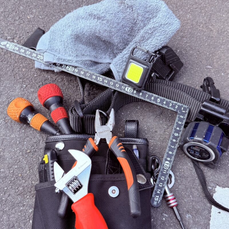 七草にちなんで・・・