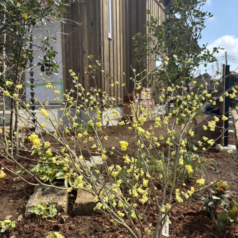 完成見学会終了