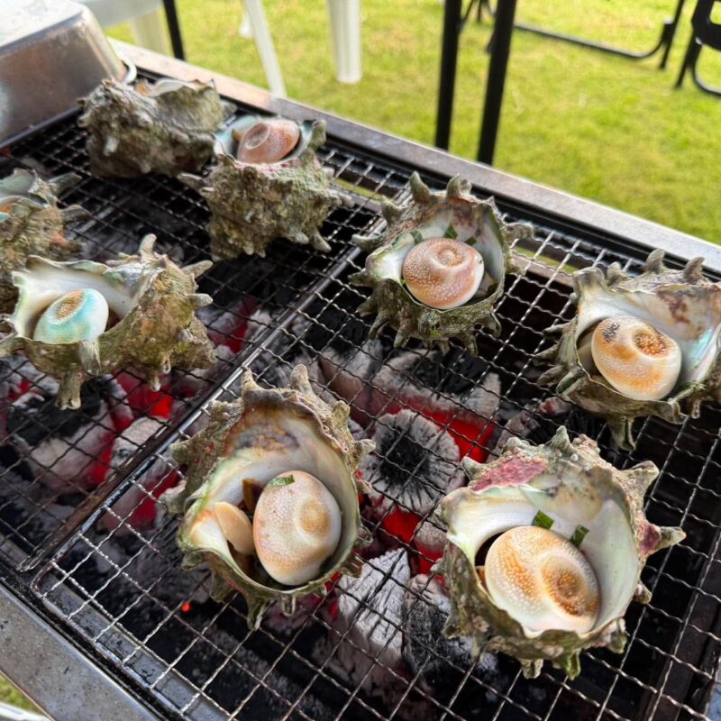 大人の夏休み